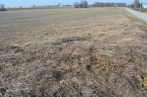 Property photo 28 - East Allen County - 55 Acre Land Auction